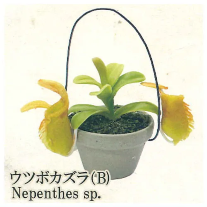 Japon arc-en-ciel Gashapon Cap - Capsule Toy Gashapon avis et prix