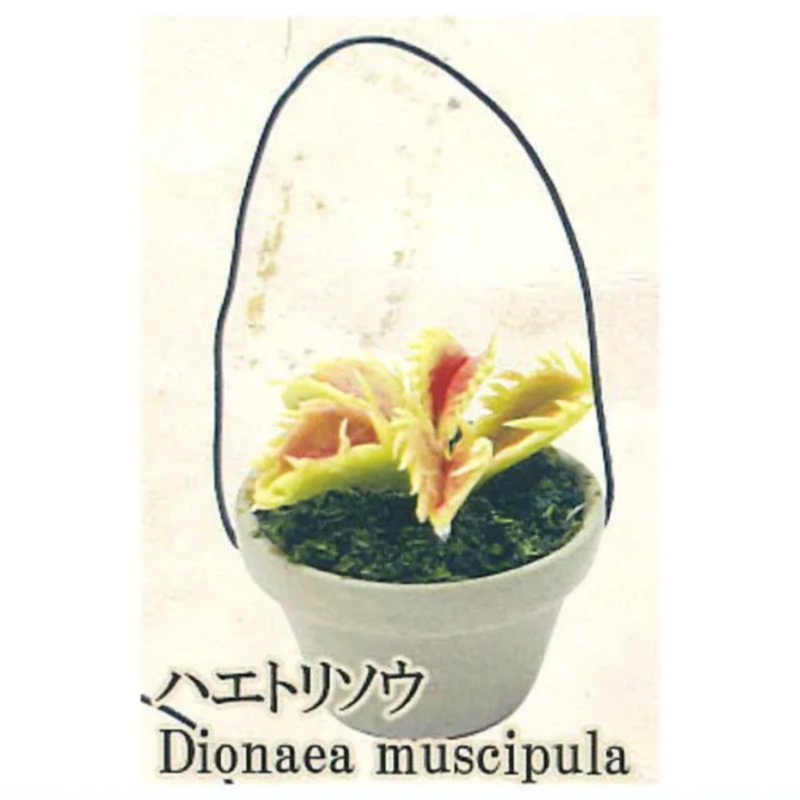 Japon arc-en-ciel Gashapon Cap - Capsule Toy Gashapon avis et prix